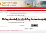 Hướng dẫn cách tra cứu thông tin doanh nghiệp tạm ngừng