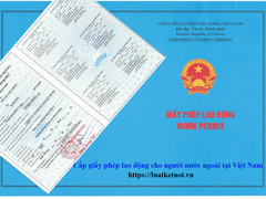 Đọc nhanh bài viết 219921