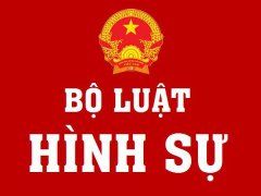 Đọc nhanh bài viết 219944