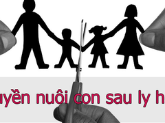 Đọc nhanh bài viết 219947