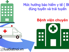 Đọc nhanh bài viết 219961