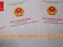 Đọc nhanh bài viết 219971