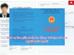 Đọc nhanh bài viết 219988