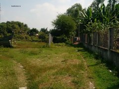 Đọc nhanh bài viết 219992