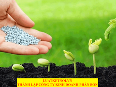 Đọc nhanh bài viết 220040