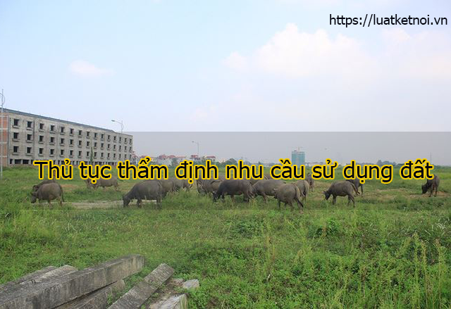 Thủ tục thẩm định nhu cầu sử dụng đất